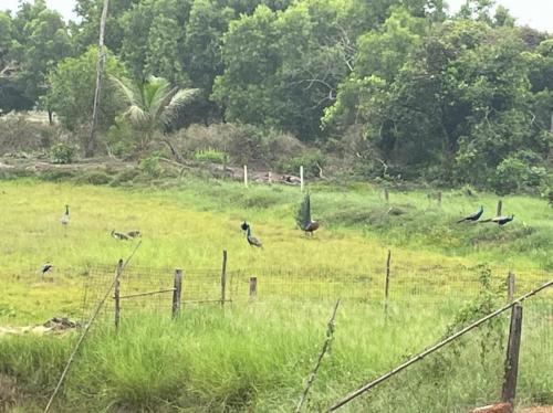 WhatsApp-Image-2022-05-09-at-2.23.31-PM