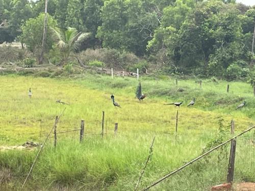 WhatsApp-Image-2022-05-09-at-2.23.32-PM